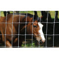 Cattle Fence/Field Fence/Grassland Fence (Professional Supplier)